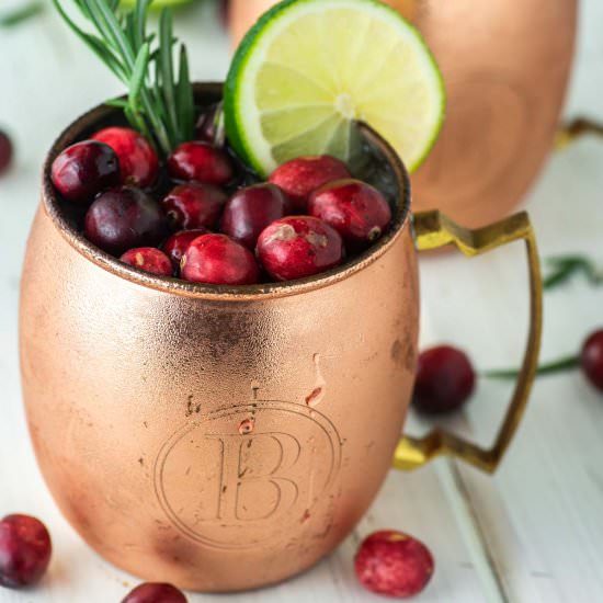 Cranberry Moscow Mule