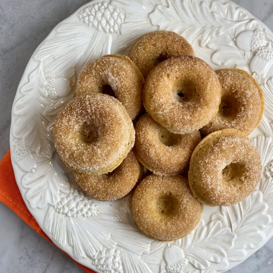 Apple Cider Doughnuts