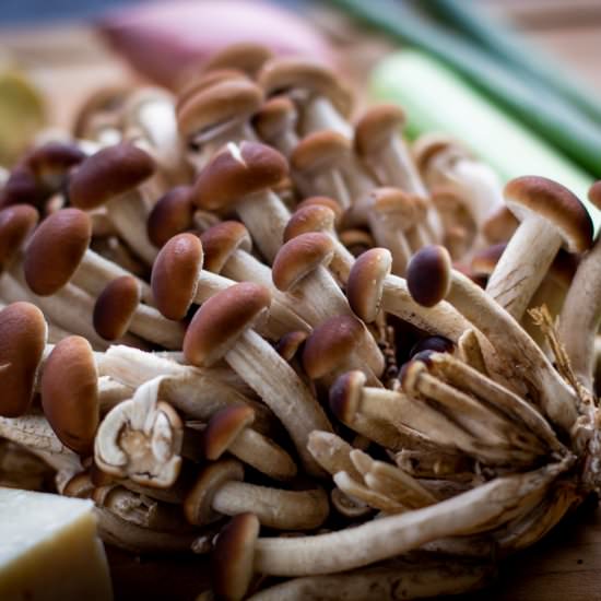 Herbs Stuffed Mushrooms