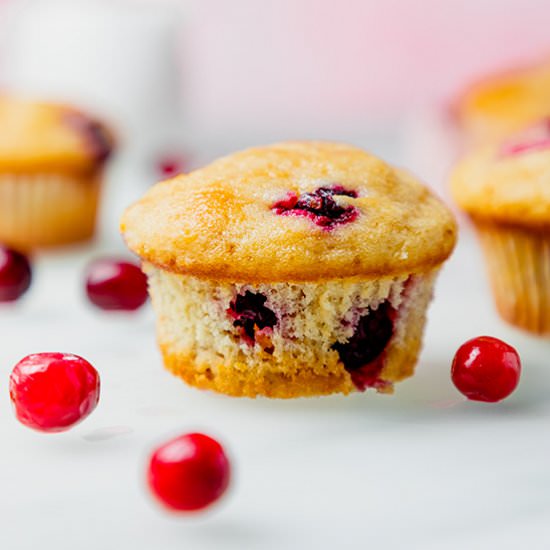 Cranberry Orange Muffins