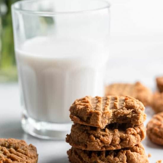 Sugar Free Peanut Butter Cookies