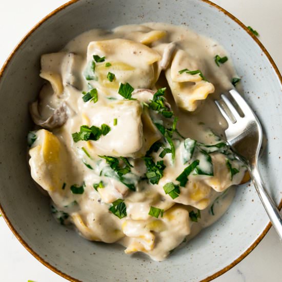 Tortellini Alfredo