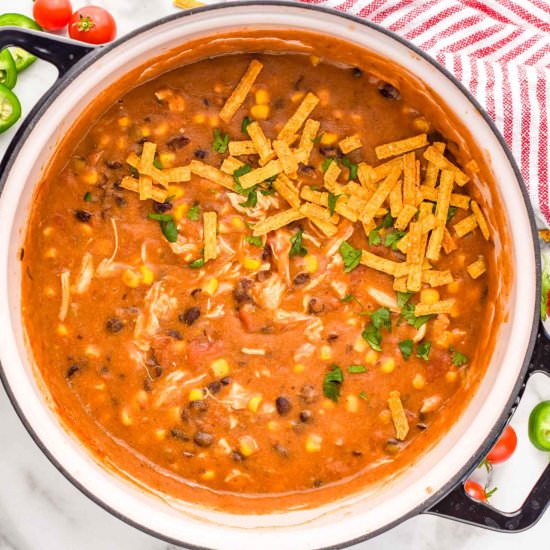 Chicken Enchilada Soup