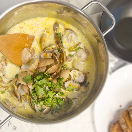 Spanish Steamed Garlic Clams