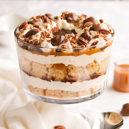 Turtle Trifle