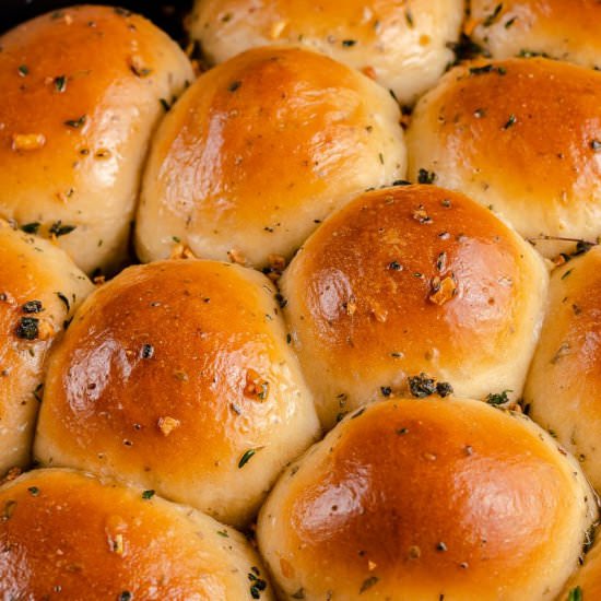 Garlic Herb Dinner Rolls