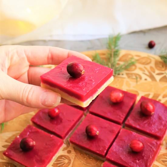 Vegan Cranberry Bars