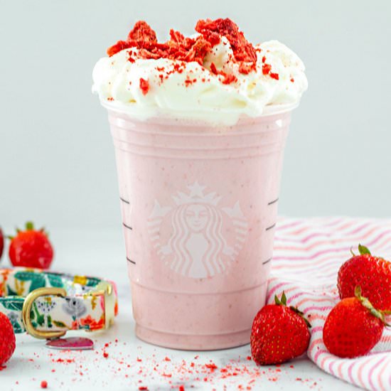 Strawberry Puppuccino