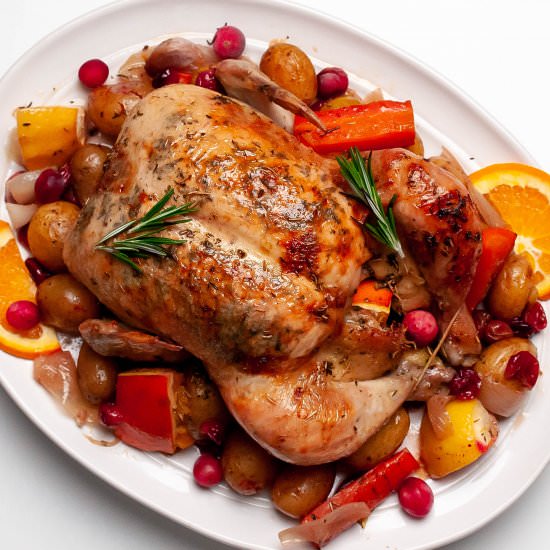Christmas Chicken