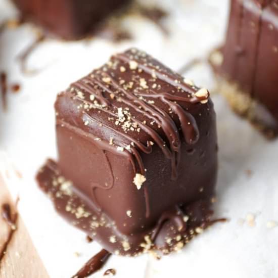 Chocolate Covered Cheesecake Bites