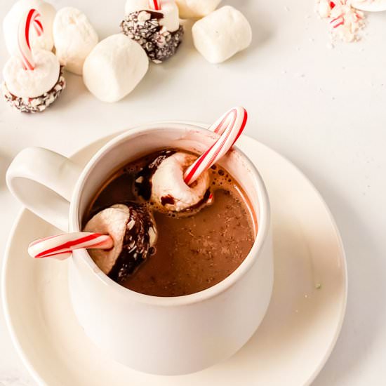 Holiday Hot Chocolate Stirrers