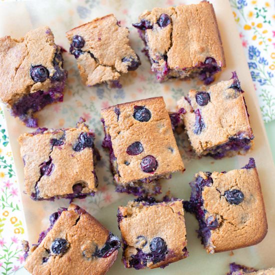 Baked Blueberry Oat Blender Bars