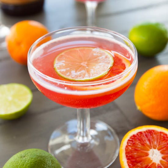 Blood Orange Cocktail