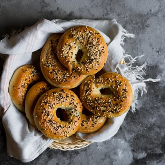 Homemade Bagels Recipe