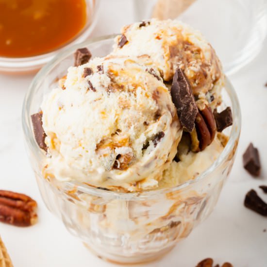 Turtle Ice Cream