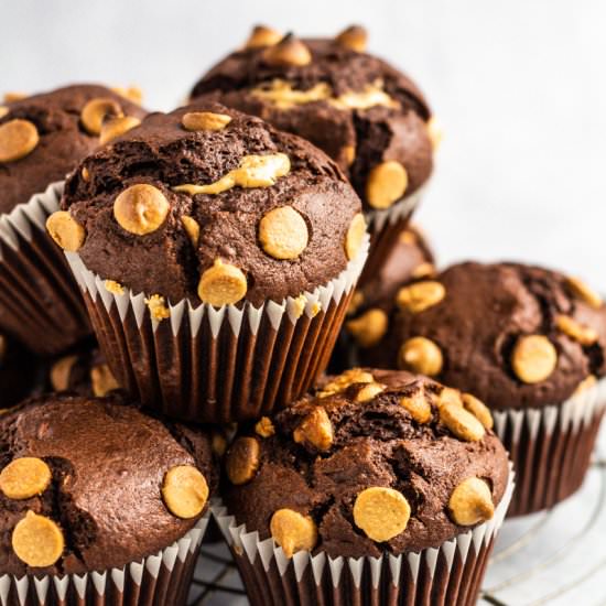 Chocolate Peanut Butter Muffins