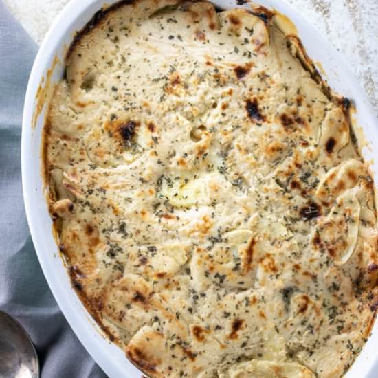 cranberry parsnip gratin recipe
