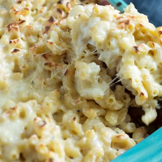 Brisket Macaroni and Cheese