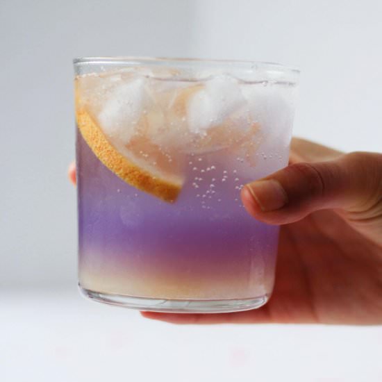 Grapefruit Gin Cocktail