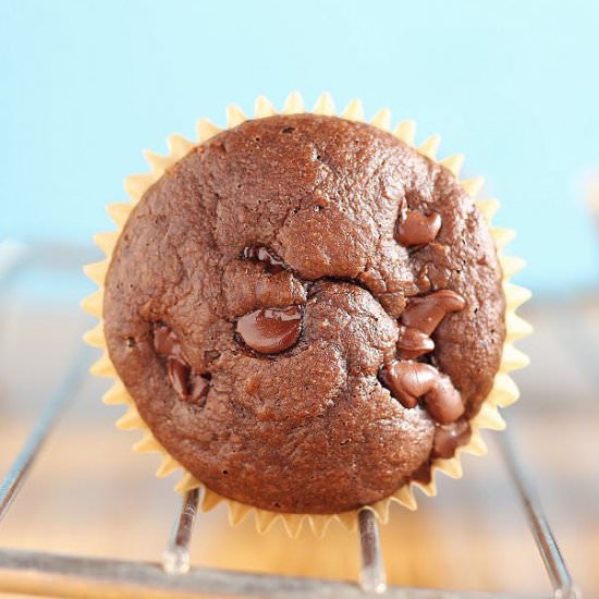 Healthy Chocolate Muffins