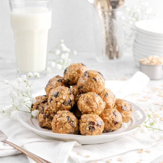 Oatmeal Raisin Energy Bites