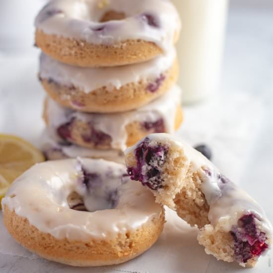 Baked Blueberry Cake Donuts
