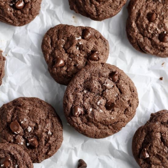 Double Chocolate Chip Cookies