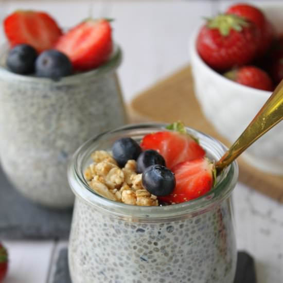 Blueberry Chia Seed Pudding