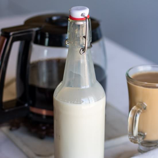 Hazelnut Creamer