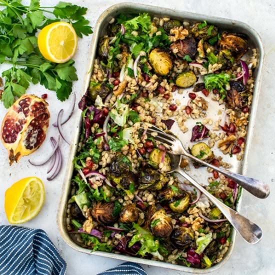 BRUSSELS SPROUT PEARL BARLEY SALAD