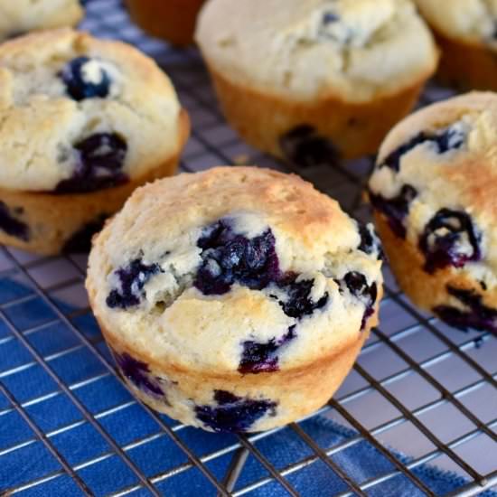 Blueberry Ricotta Muffins