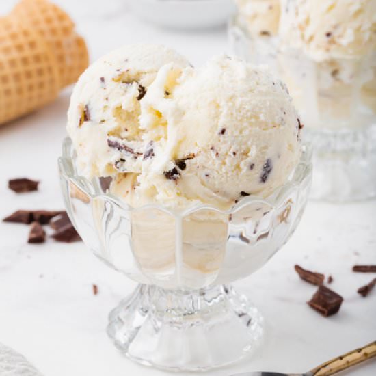 Chocolate Chip Ice Cream