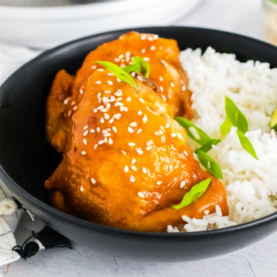 Honey Garlic Chicken Thighs