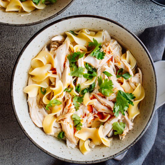 Spicy Chicken Noodle Soup