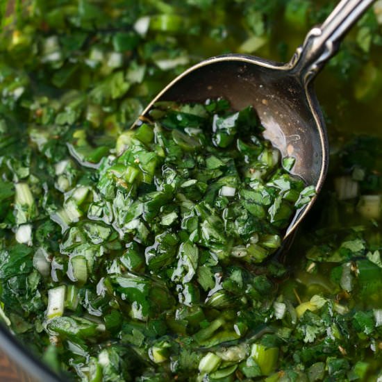 Cilantro Chimichurri Sauce