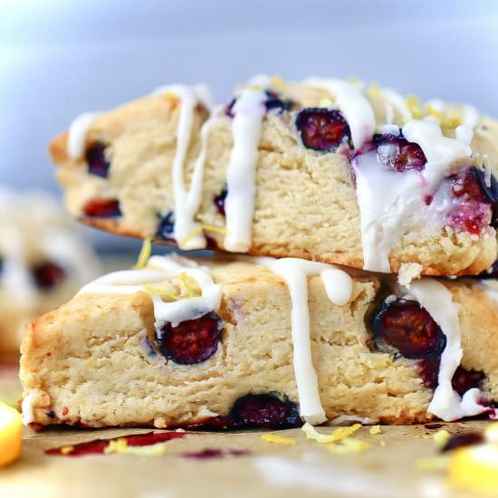 Blueberry Scones { Gluten-Free }