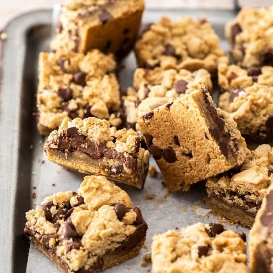 Chocolate Chip Nutella Bars