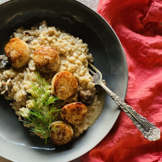 Mushroom Risotto