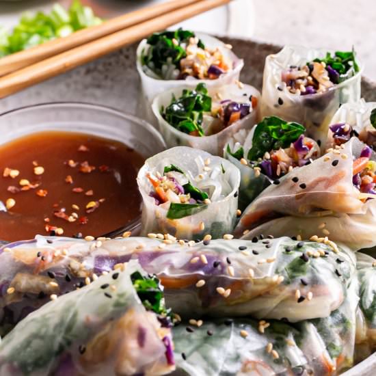 Sesame Kale Spring Rolls