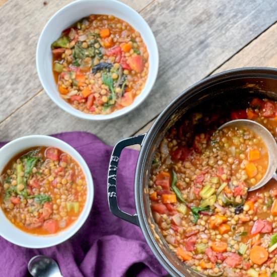Easy Vegetarian Lentil Soup Recipe