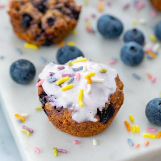 Blueberry Muffins for Dogs