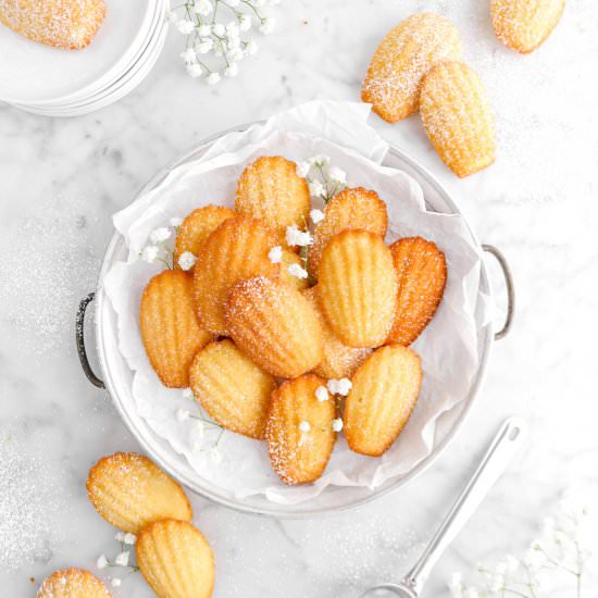 Madeleines