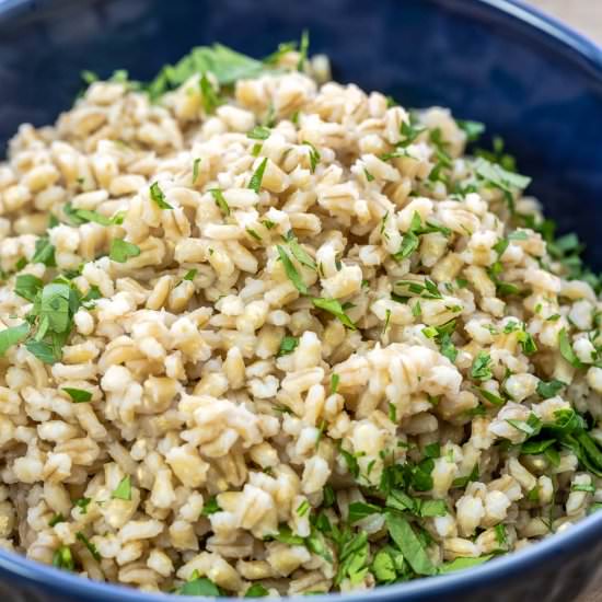 How to Cook Barley (Recipe & Tips)