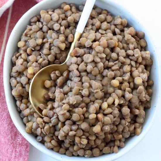 Instant Pot Lentils