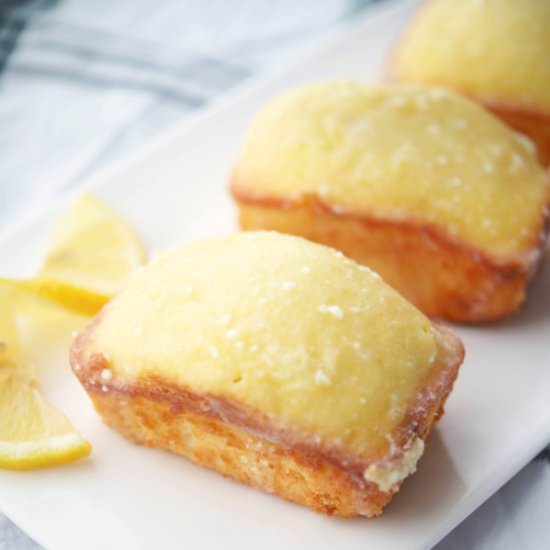 Lemon Olive Oil Cakes