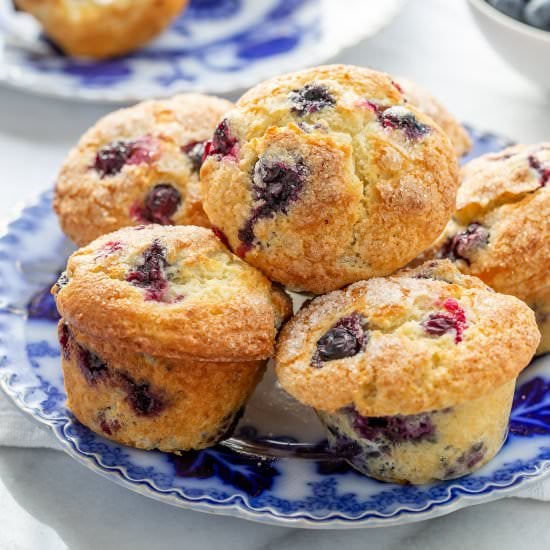 Blueberry Muffins