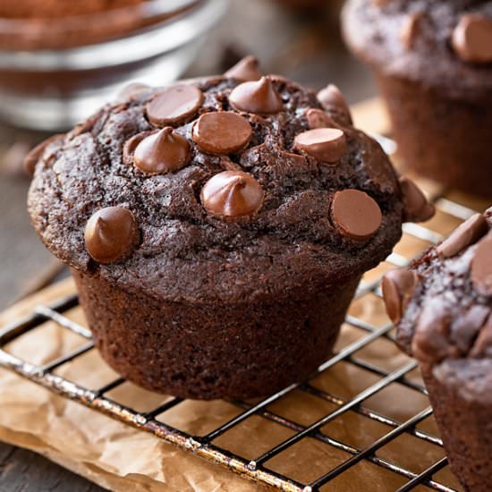 Double Chocolate Chip Muffins
