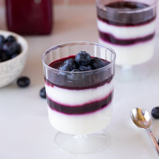 Easy Blueberry Coulis