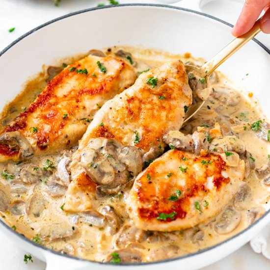 Chicken Mushroom Cream Sauce