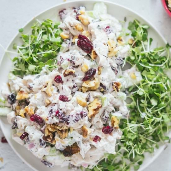 CRANBERRY CHICKEN SALAD